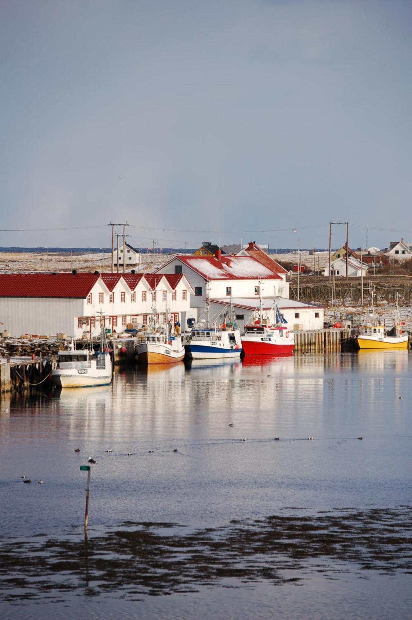 Hotel Fiskarheimen Havly, Røst Exterior foto