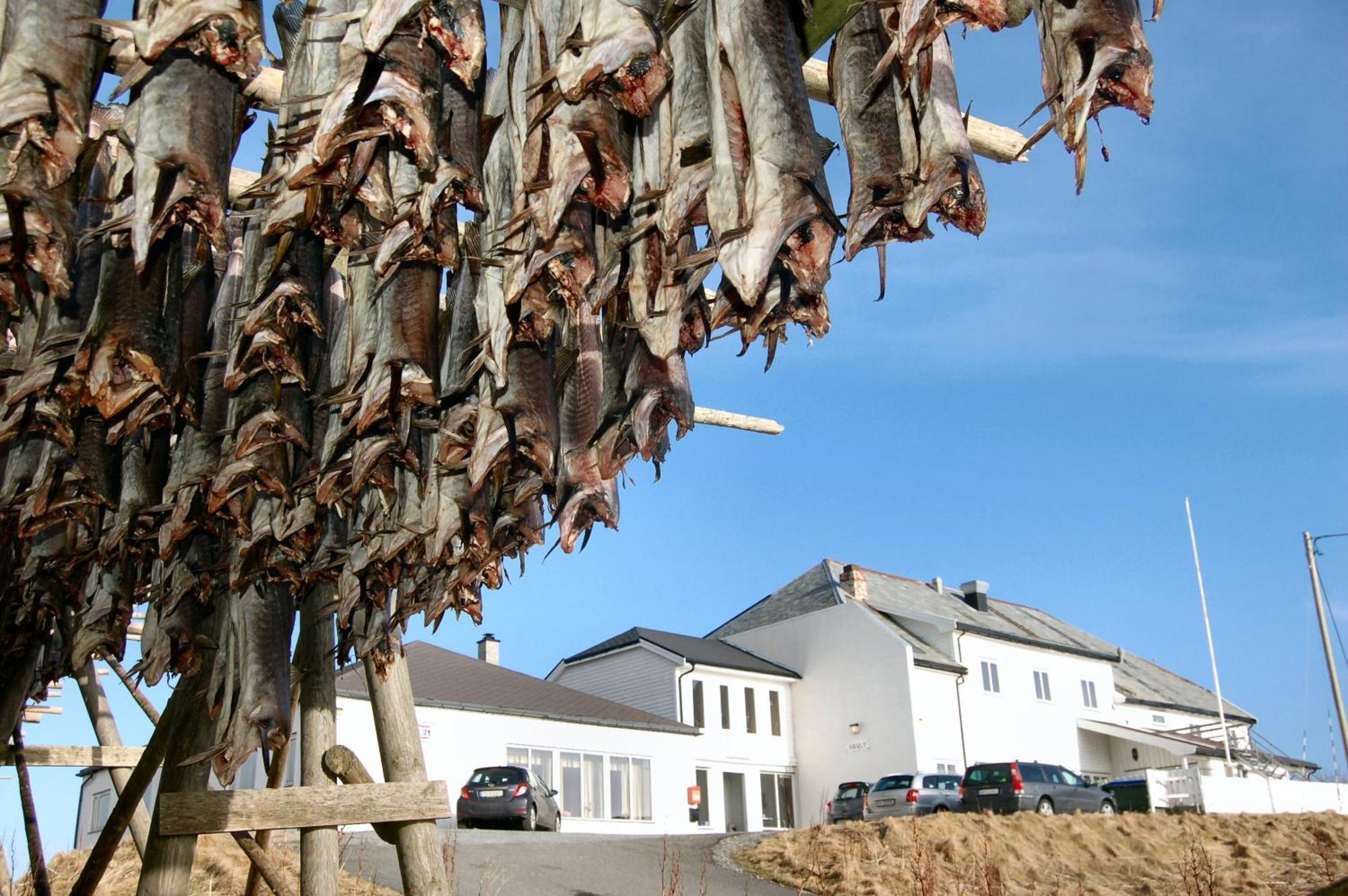 Hotel Fiskarheimen Havly, Røst Exterior foto